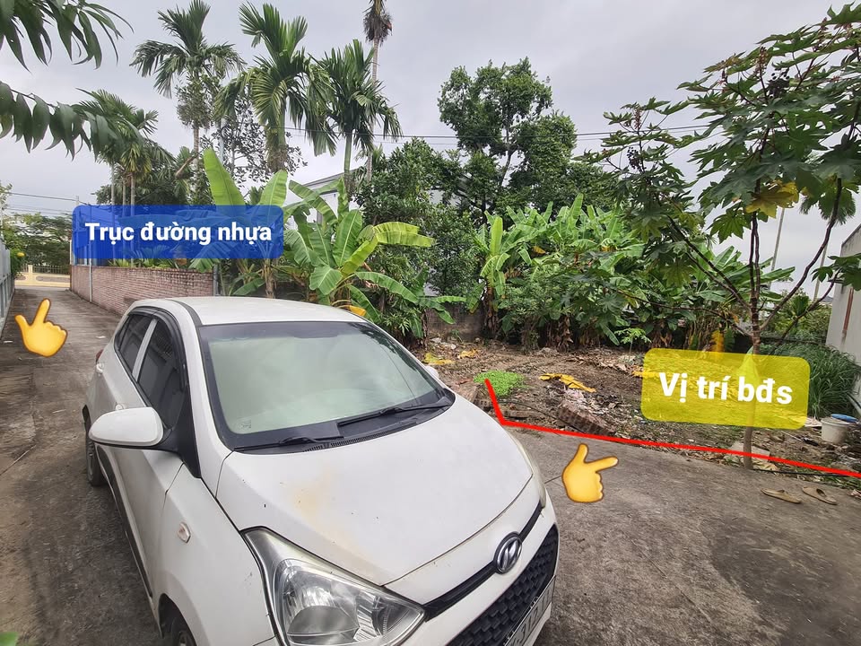 Đất nền Thủy Nguyên Hải Phòng 80m² giá 1.6 tỷ - Vị trí đẹp, xe ô tô vào tận nơi!