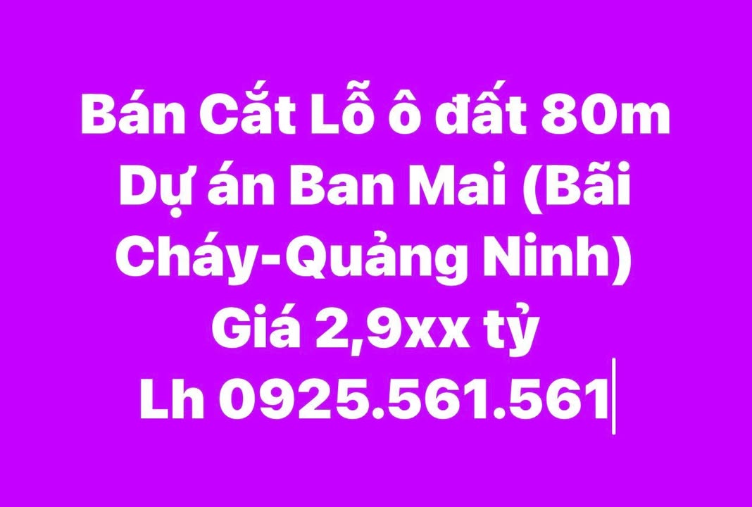 Đất nền dự án Ban Mai Bãi Cháy 80m² giá chỉ 2.9 tỷ - Cơ hội vàng cho nhà đầu tư!
