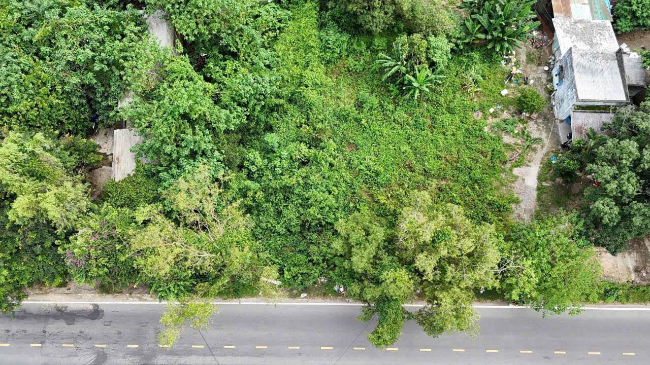 Đất thổ cư mặt tiền đường Phước Đồng, Nha Trang 1.623m² - Tiềm năng đầu tư lớn!