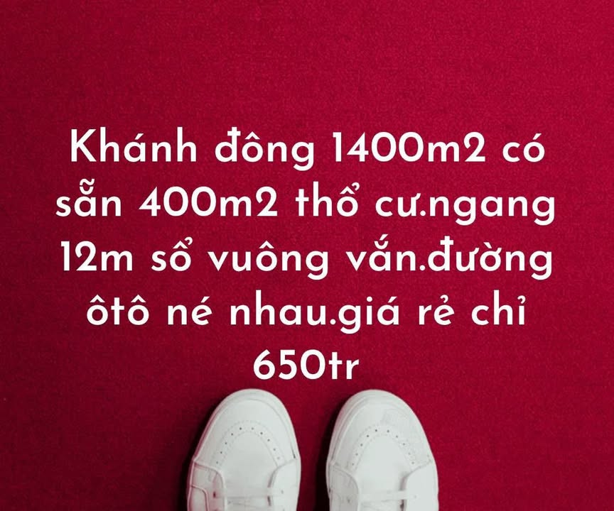 Đất nền Khánh Đông 1400m² giá chỉ 650 triệu - Sổ hồng chính chủ, đường ô tô