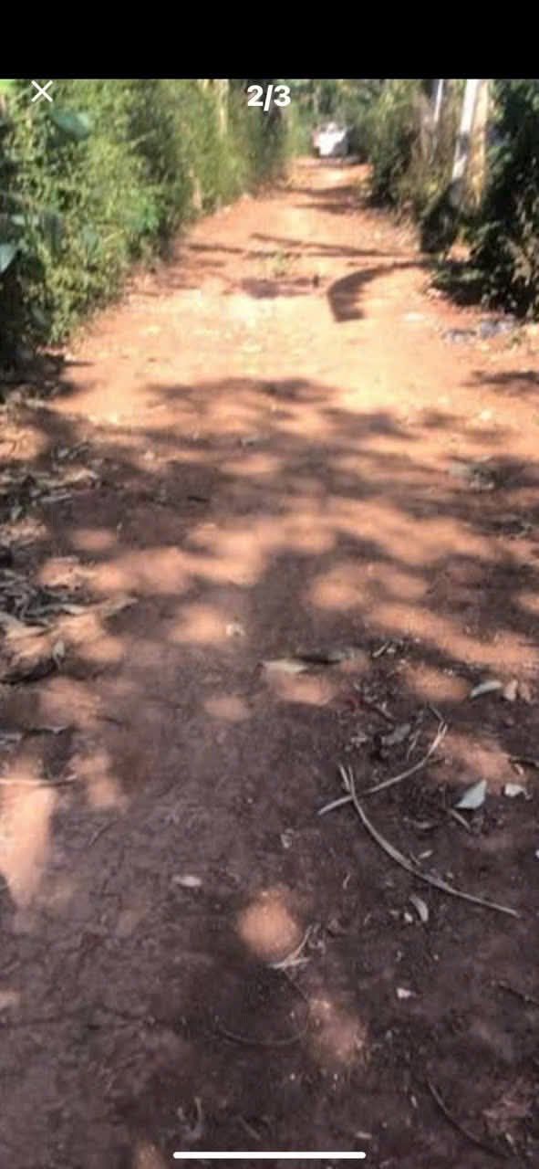 Đất nền Hòa Đông 150m² giá 435 triệu - Cơ hội đầu tư không thể bỏ lỡ!