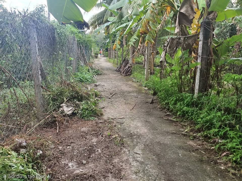 Đất nền An Sơn, Thuận An 5600m² giá 30.8 tỷ - Đầu tư sinh lợi ngay!