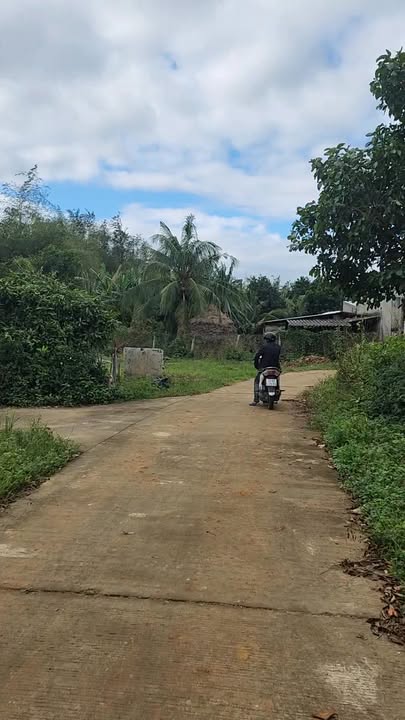 Đất vườn 1000m² tại Long Phụng, Mộ Đức - Giá chỉ 980 triệu!