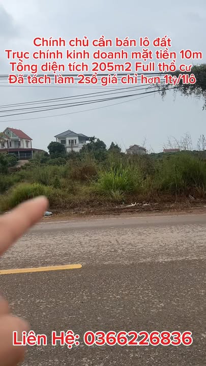 Đất kinh doanh mặt tiền đường tỉnh lộ 289, Lục Ngạn, 205m² - Cơ hội đầu tư hấp dẫn!