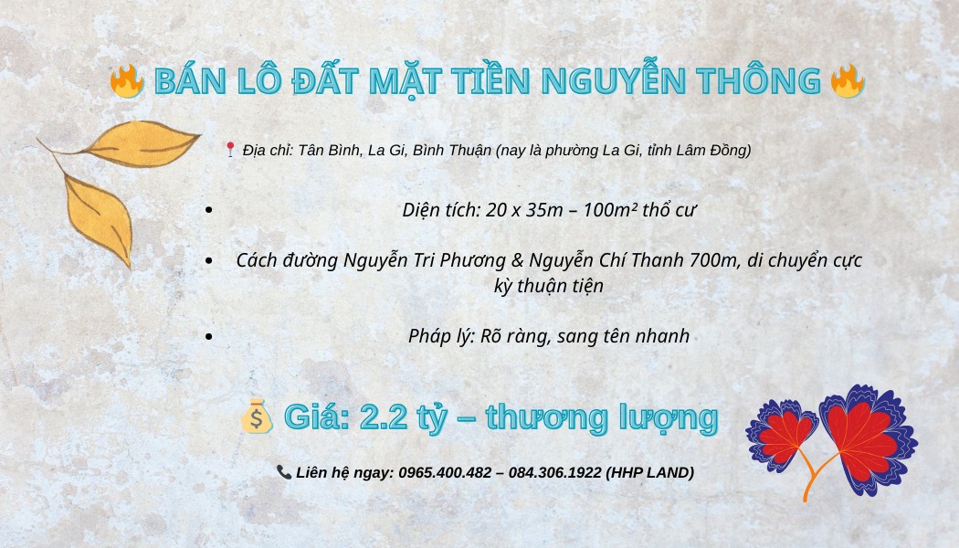 Đất mặt tiền đường Nguyễn Thông, Tân Bình, La Gi 700m² giá 2.2 tỷ - Đầu tư sinh lời ngay!