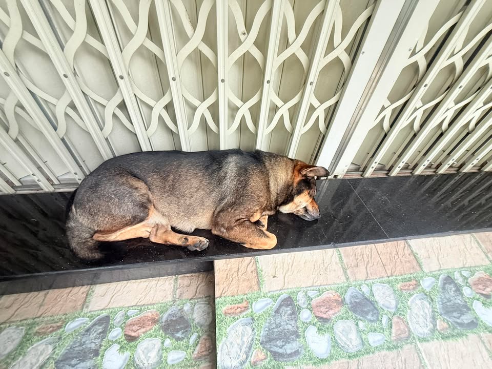 Đất nền Lê Hữu Trác, Sơn Trà, 285m² giá 28 tỷ - Cơ hội đầu tư sinh lời!