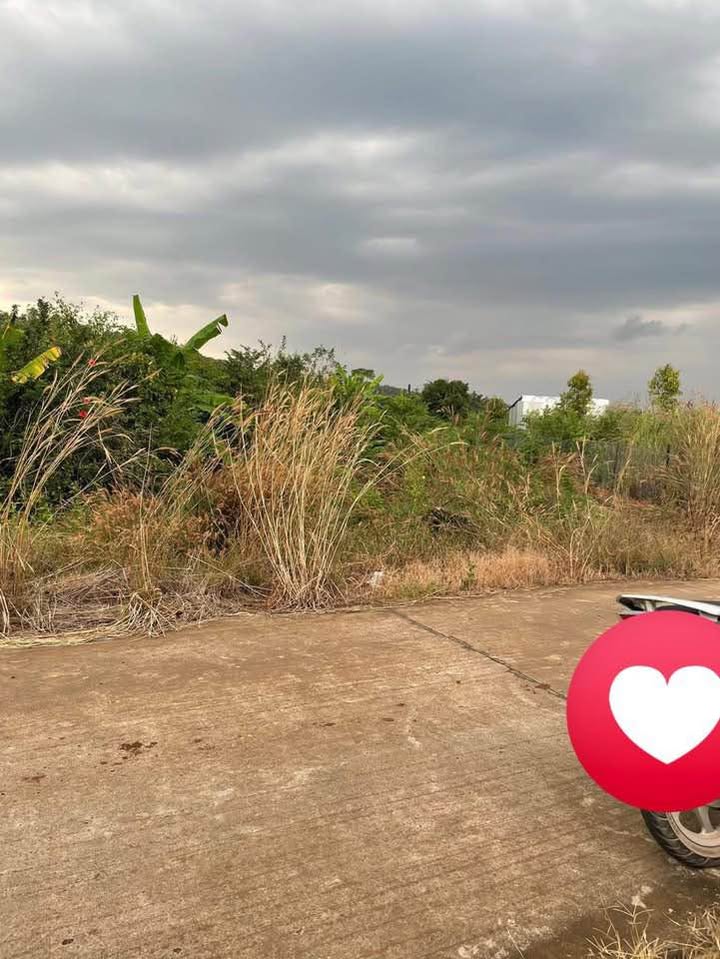 Đất nền Phú Vinh, Định Quán, Đồng Nai 3600m² giá 680 triệu - Tiềm năng đầu tư sinh lời!