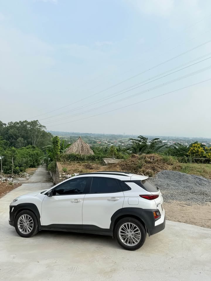 Đất nền Tân Hưng Bà Rịa 1000m² giá 1.7 tỷ - Đường ô tô vào tận nơi!