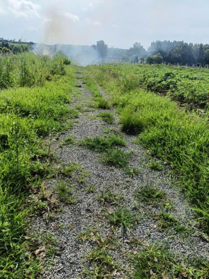 Đất nền Hòa Hiệp, Xuyên Mộc 360m² giá 400 triệu - Cơ hội đầu tư hấp dẫn!