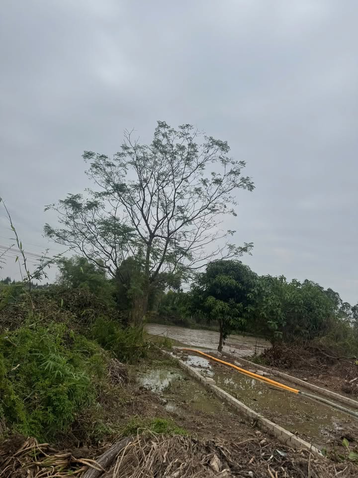 Đất nền 120m² mặt tiền 6m xã Phi Mô - Giá chỉ 1.7 tỷ, cơ hội đầu tư tốt!