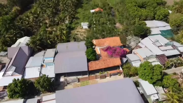 Đất thổ cư 5x29m kèm 2.700m² vườn cây ăn trái tại Cao Lãnh - Giá chỉ 1.2 tỷ!