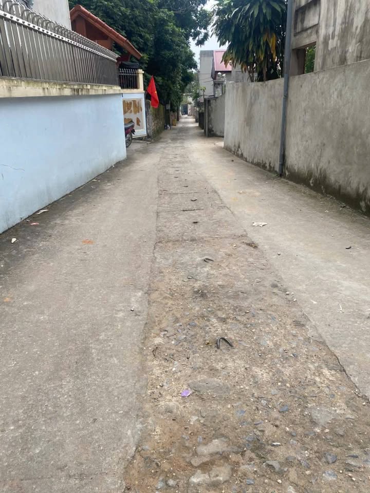 Đất nền Nam Sơn 633m² giá 9 tỷ - Sổ đỏ chính chủ, đầu tư sinh lời!