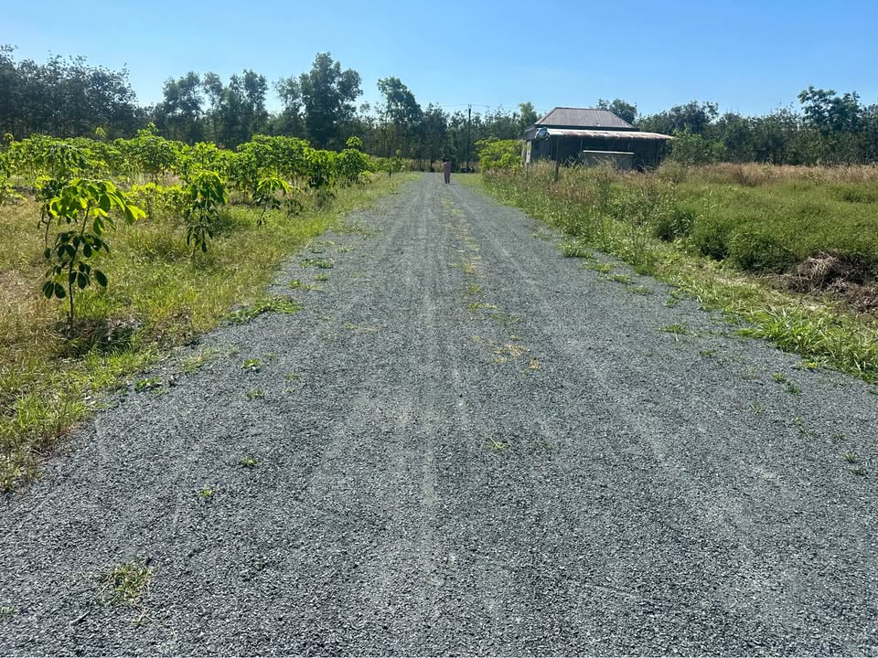 Đất nền Tân Khai 215m² giá 4xx triệu - Pháp lý sổ hồng riêng!