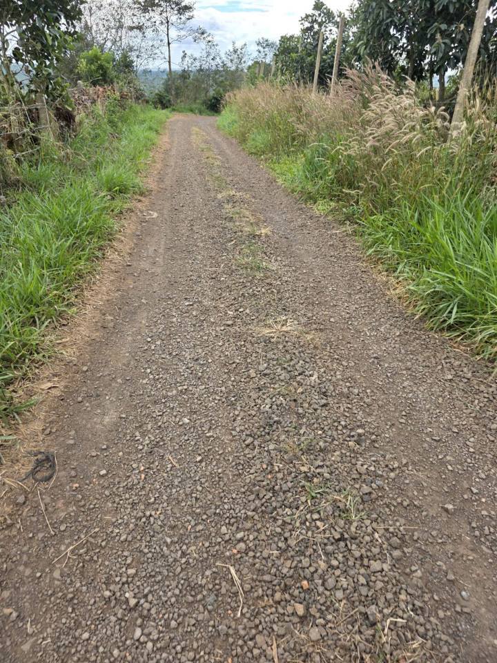 Đất rẫy 1ha2 tại xã Krông Buk, Đắk Lắk giá 4.1 tỷ - Tiềm năng sinh lời cao!