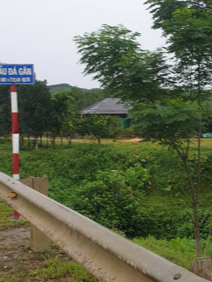 Đất nền mặt đường 15B, xã Hà Linh, Hương Khê, 2000m² chỉ 900 triệu - Cơ hội đầu tư hấp dẫn!