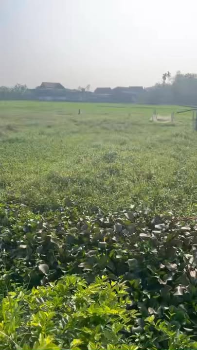 Đất Thạch Lạc 152m² giá 1.1 tỷ - Vị trí đẹp, phong thủy tốt!