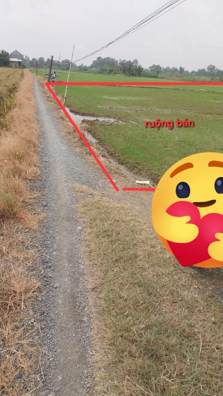 Đất ruộng 2970m² mặt tiền đường đá xã Gia Thuận - Giá chỉ 921 triệu!