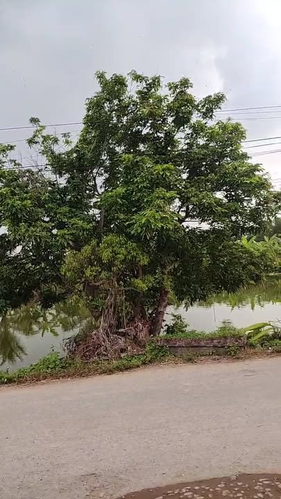 Nhà 2 tầng hiện đại tại xã Hà Thanh, huyện Tứ Kỳ - Diện tích 264m², giá thỏa thuận!