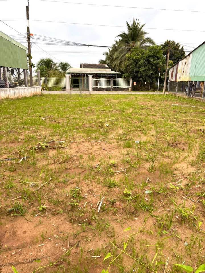 Đất nền Cầu Tre Tân An 317.2m² giá 4.25 tỷ - Đầu tư sinh lời ngay lập tức!