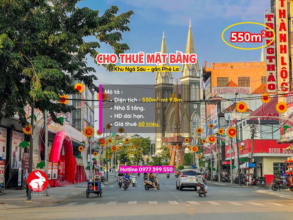 Mặt bằng cho thuê 550m² tại Thủ Dầu Một - Phù hợp cho Spa, văn phòng