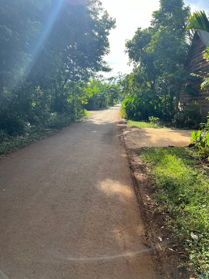 Đất thổ cư mặt tiền hẻm 171 Nguyễn Thái Bình, Tân Lập 1166m² giá 6.5 tỷ - Cơ hội đầu tư tuyệt vời!