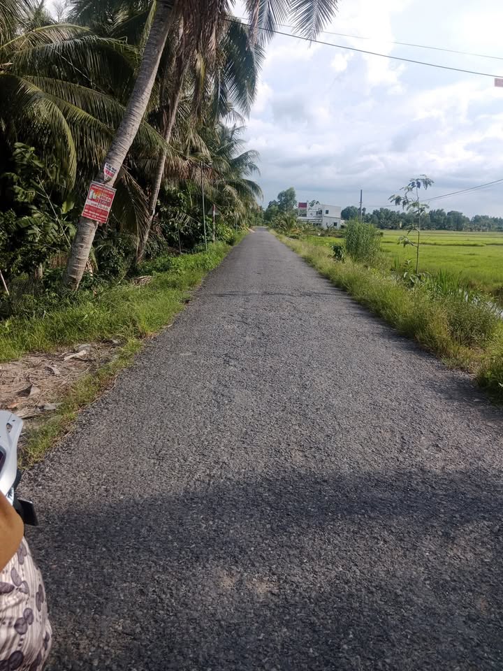 Đất thổ cư 240m² tại Tân An Hội, Củ Chi giá 460 triệu - Thích hợp đầu tư ngay!