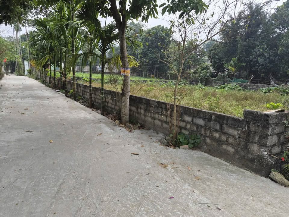 Đất nền Tản Lĩnh 338m² giá 3 tỷ - Lô góc 2 mặt tiền thoáng đãng!