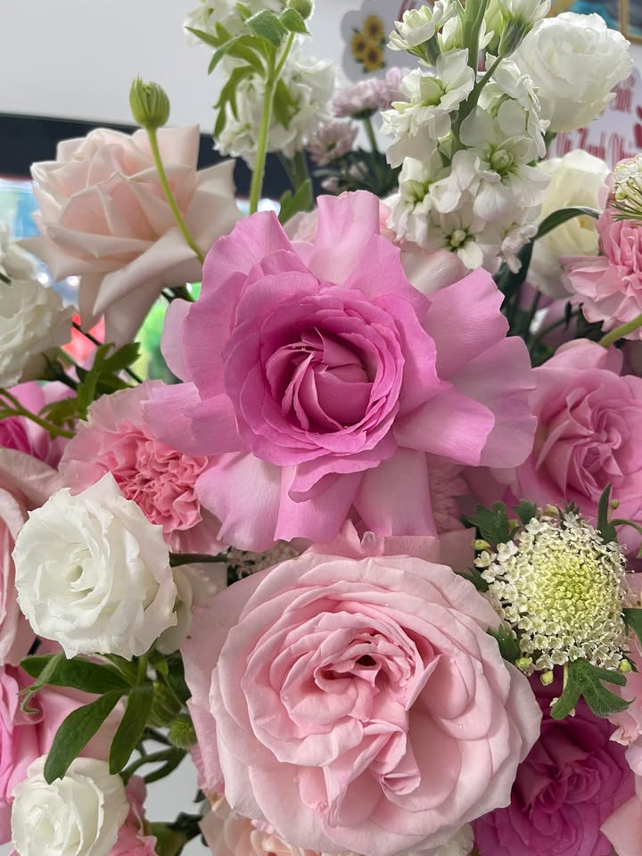 Mặt tiền FrontHouse Tô Hiệu, Hải Phòng 80m² giá hơn 20 tỷ - Cơ hội đầu tư sinh lời!