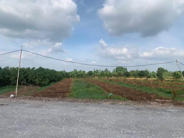 Đất nền Lai Vung 1.400m² giá 2.5 triệu/m² - Đầu tư sinh lời ngay!