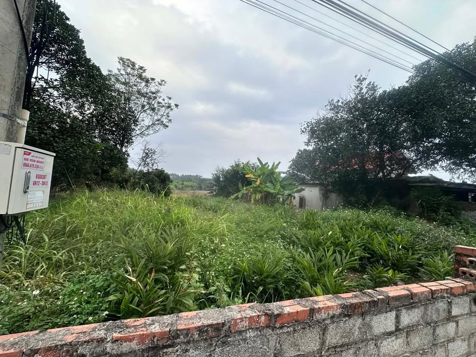 Đất nền Tân Thanh, Lạng Giang 200m² giá 2 tỷ - Kinh doanh thuận lợi!