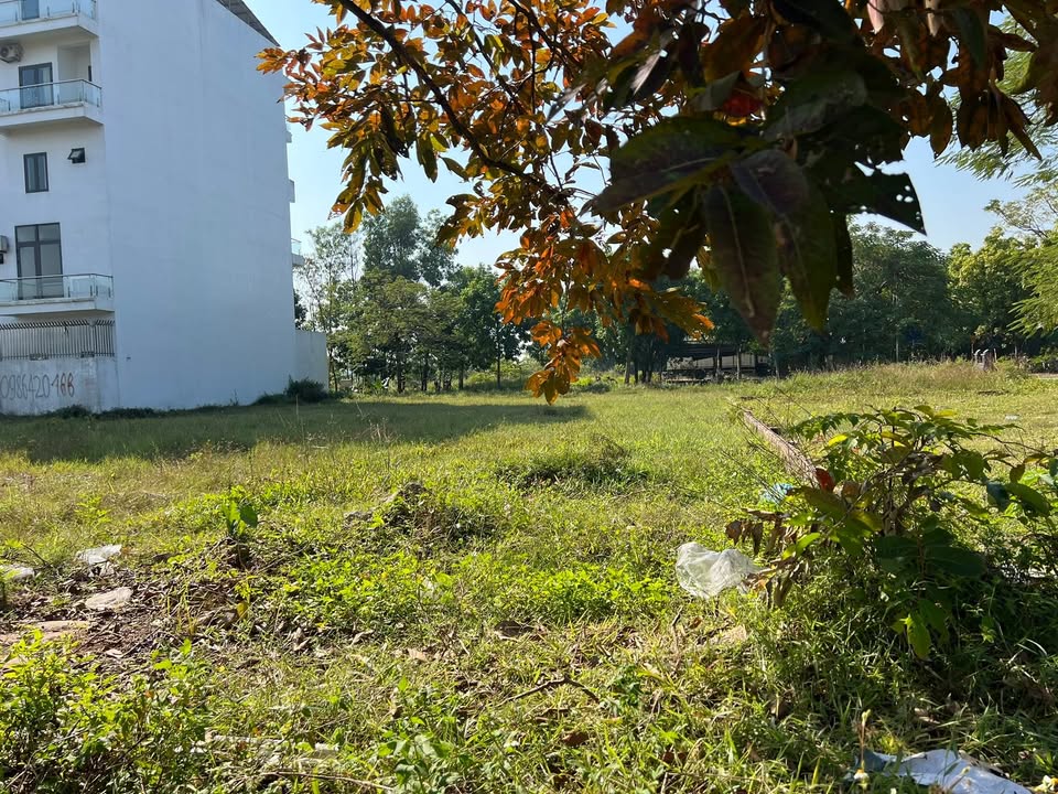 Đất nền tái định cư Bắc Hạ, Sóc Sơn, Hà Nội 100m² giá 40 tỷ - Vị trí đắc địa gần sân bay Nội Bài!