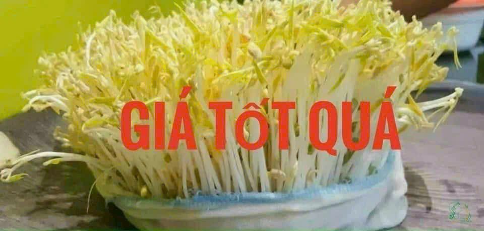 Nhà mặt tiền Đỗ Nhuận, Sơn Kỳ, Tân Phú 24m² giá 3.8 tỷ - Vị trí kinh doanh đắc địa!