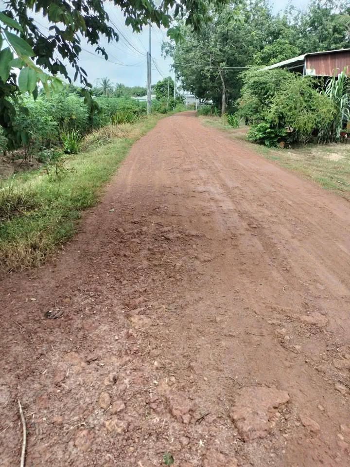 Đất nền Xóm Mới 2, Trí Bình, 1290m² chỉ 40 triệu/mét - Cơ hội đầu tư tuyệt vời!