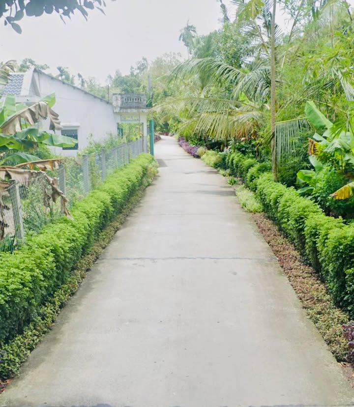 Đất nền Thạnh Hoà, Hậu Giang 870m² chỉ 800 triệu - Cơ hội đầu tư tuyệt vời!