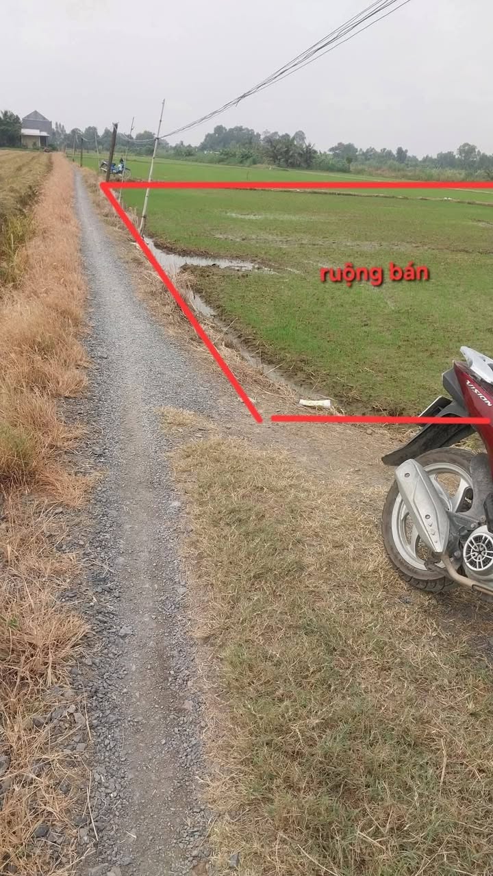 Đất ruộng 2970m² xã Gia Thuận giá 900 triệu - Mặt tiền đường rộng rãi!