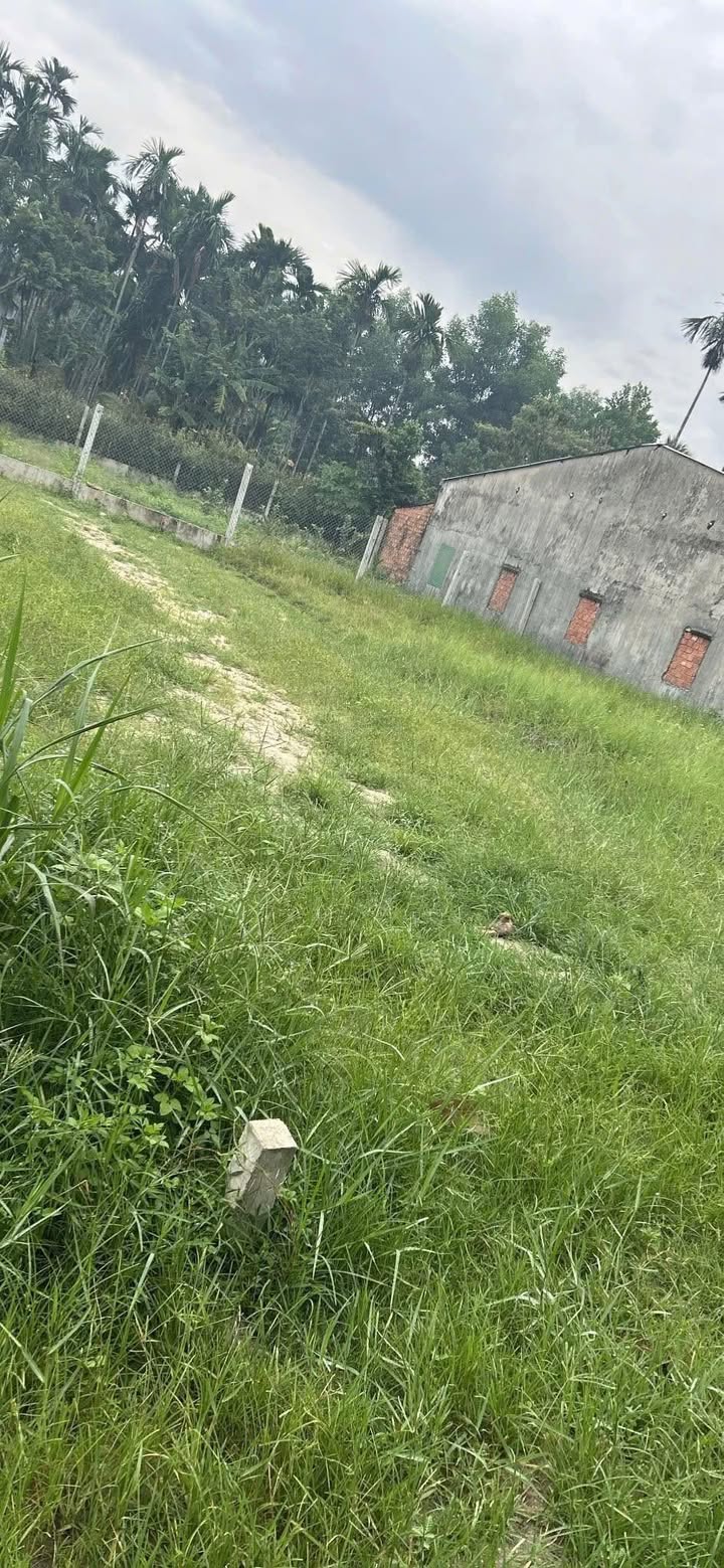 Đất nền Quảng Phú 110m² giá chỉ 500 triệu - Hướng Nam tài lộc!