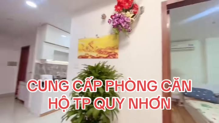 Chung cư Thịnh Phát Quy Nhơn 2PN 2WC giá 5.5 triệu - Full nội thất sang trọng!