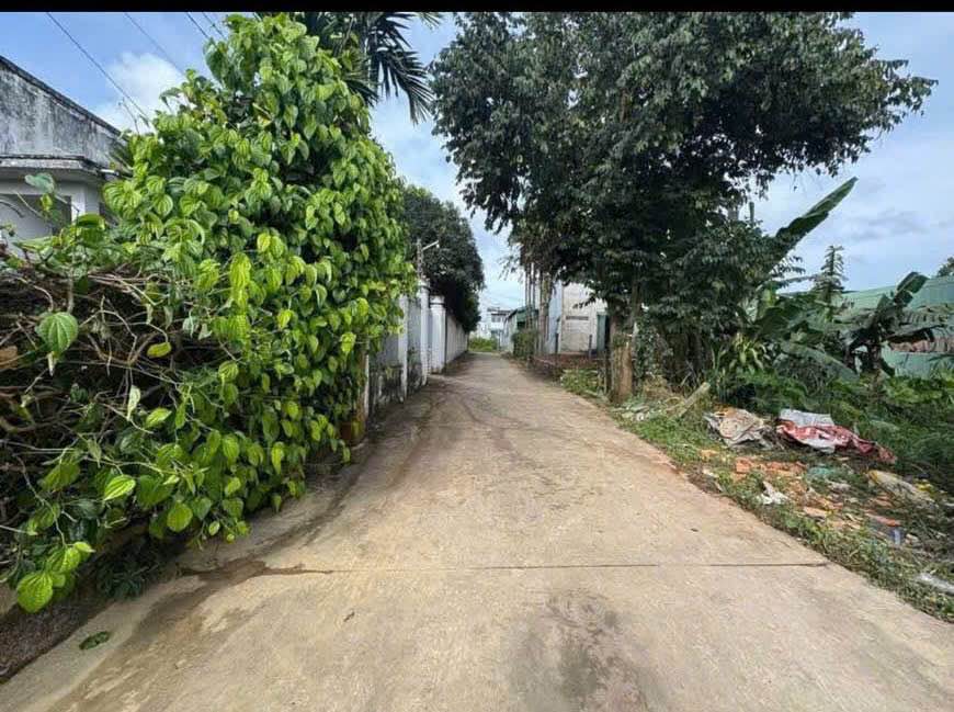 Đất Tân An Buôn Ma Thuột 100m² giá 2.45 tỷ - Đầu tư sinh lời ngay!