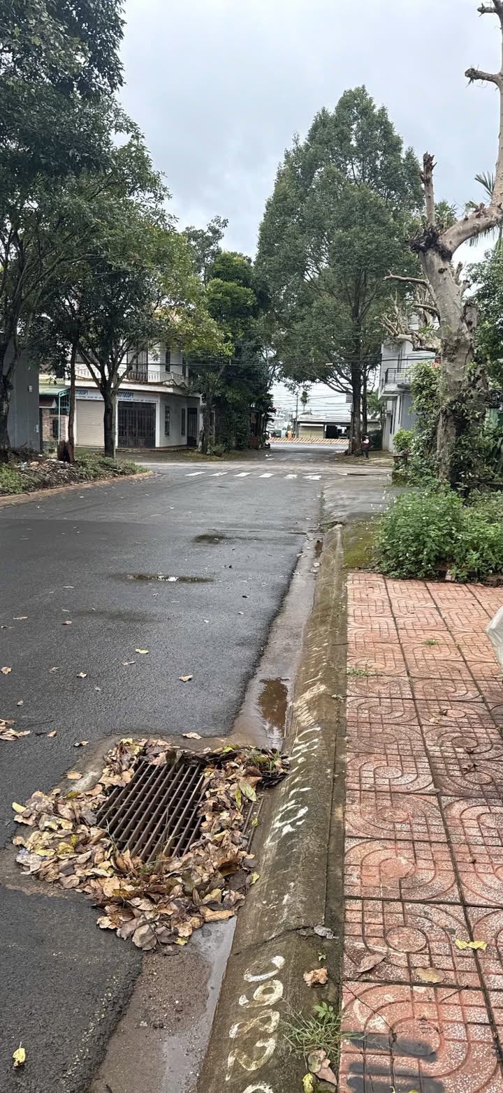 Đất nền Tân Hòa, Buôn Ma Thuột 120m² giá 3.6 tỷ - Khu dân cư sầm uất, tiện ích đầy đủ!