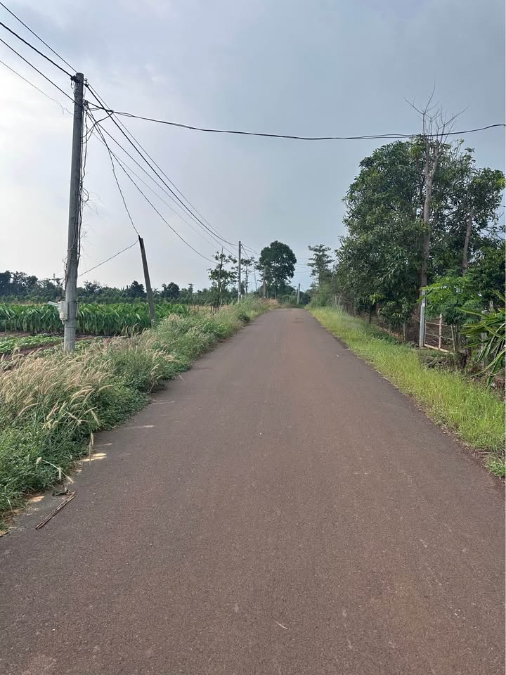 Đất nền Nghĩa Thành Châu Đức 160m² giá chỉ 630 triệu - Cơ hội đầu tư tuyệt vời!