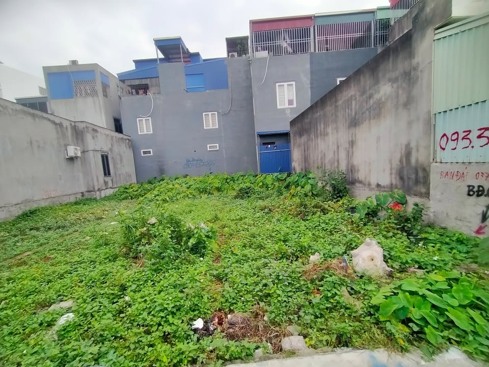 Đất nền An Hải, An Dương 54m² giá 1.3 tỷ - Vị trí đẹp, giao thông thuận lợi!