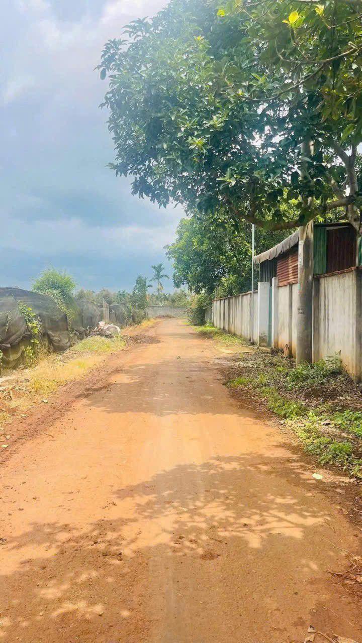 Đất thổ cư Hẻm 50 Đam San 200m² giá 1.55 tỷ - Đầu tư sinh lời tiềm năng!