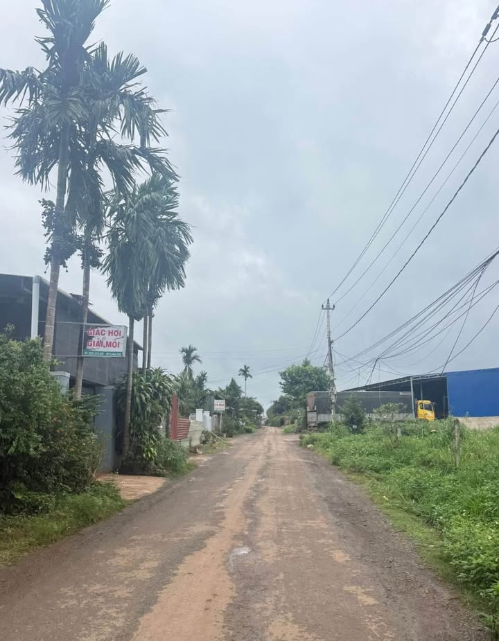 Đất liền kề Tân An 117.5m² giá 800 triệu - Sổ đỏ chính chủ, thổ cư 100%!