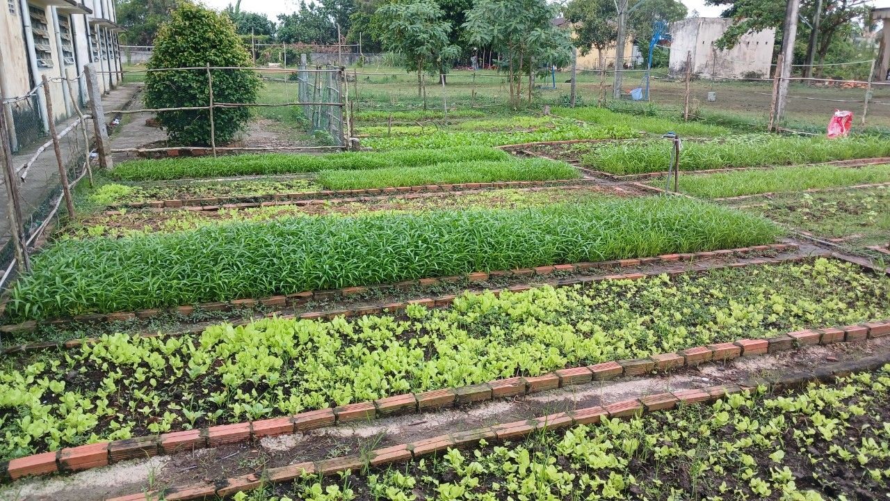 Đất nền 4.5 sào tại Hàm Thuận Bắc giá chỉ 2xx triệu - Cơ hội đầu tư hấp dẫn!