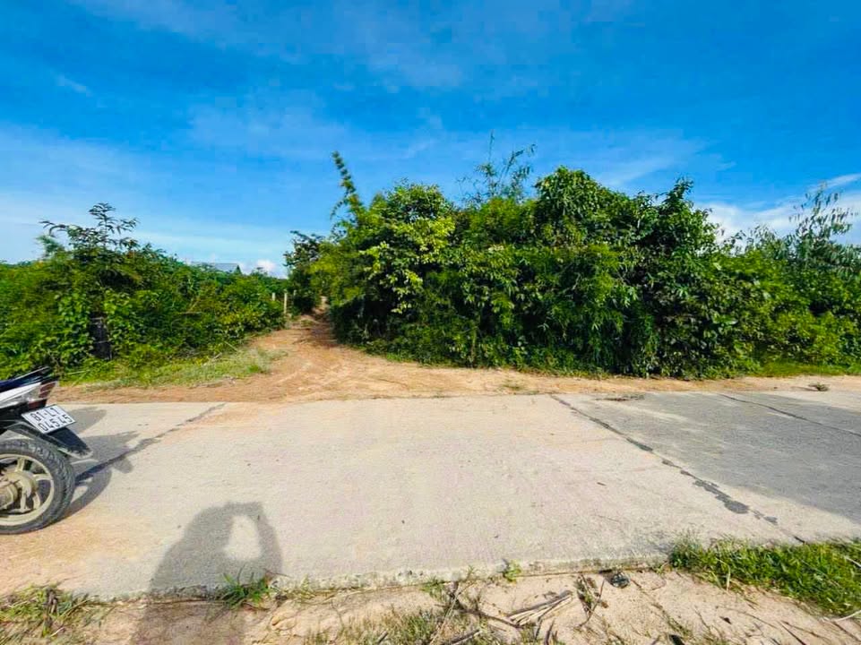 Đất Farm 4200m² Kim Tân, Ia Pa, Gia Lai giá 159 triệu - Cơ hội đầu tư tuyệt vời!