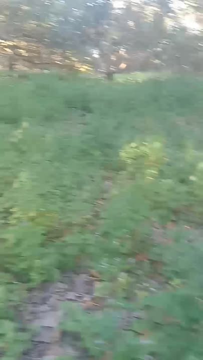 Đất nền xã Ia Pnôn, huyện Đức Cơ, diện tích 35,000m² - đầu tư sinh lời tiềm năng!