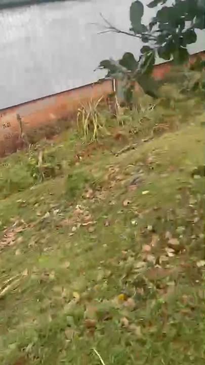 Đất nền Ia Dơk, Đức Cơ 2.1 sào giá chỉ 400 triệu - Đầu tư sinh lời ngay!