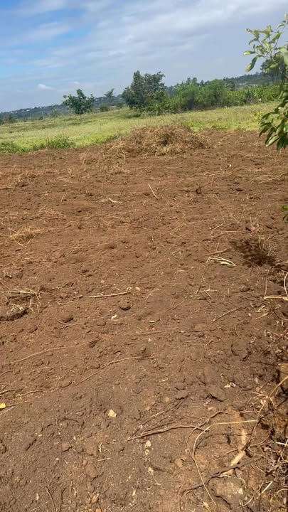 Đất nền 1ha ở Chư Sê, Gia Lai giá 1.8 tỷ - Đầu tư sinh lời tiềm năng!