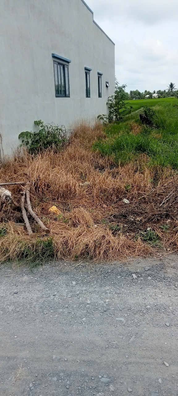 Đất nền 1000m² tại xã Tân Trạch, Cần Đước - Giá chỉ 1.6 tỷ - Thích hợp làm nhà vườn!