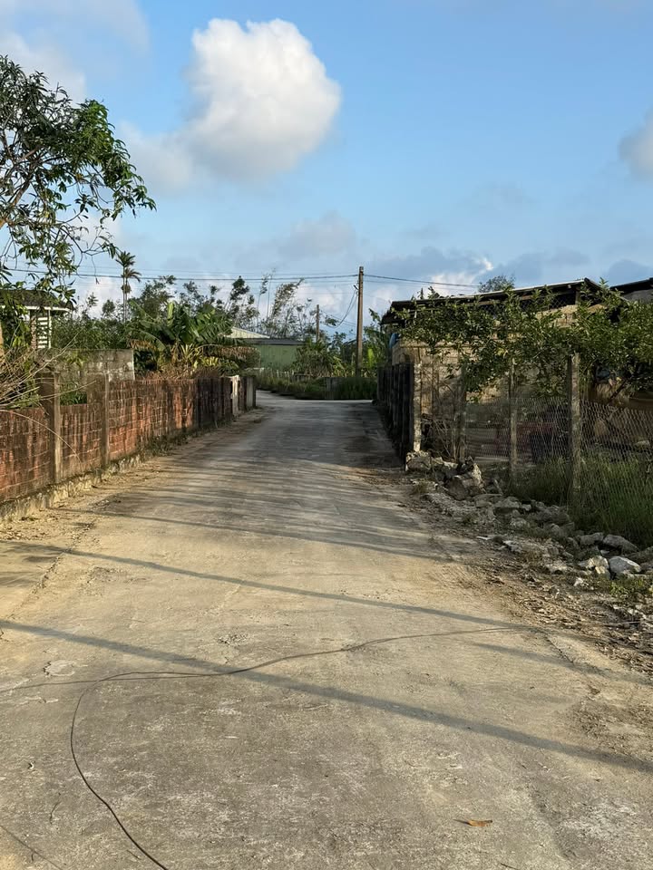 Đất lô góc Thạch Thắng 163.6m² giá 700 triệu - Cơ hội đầu tư tuyệt vời!